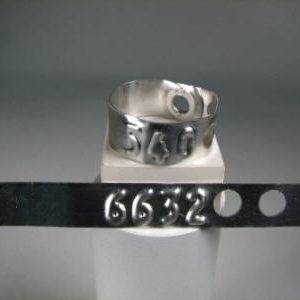 Adjustable Security Band Seals